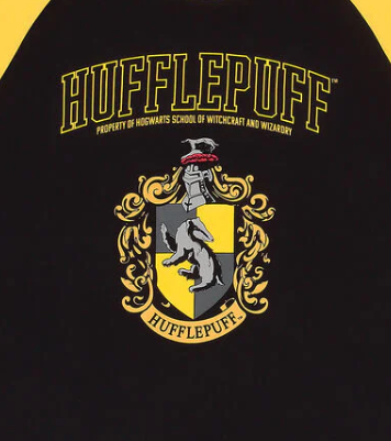 Harry Potter Black and yellow Hufflepuff t-shirt with crest design on a white background
